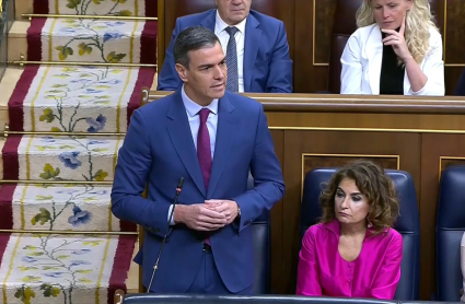 Pedro Sánchez, durante el último debate en el Congreso