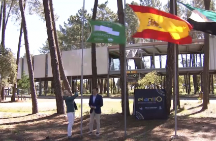 Bandera verde en El Anillo