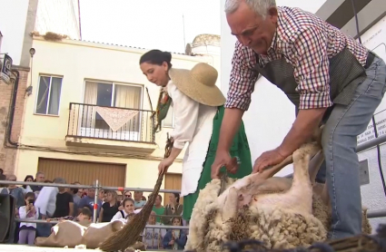 Esquileo en Cabeza del Buey