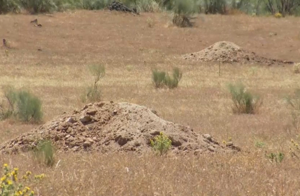 Emplazamiento de la futura planta de biometano en Oliva de Plasencia